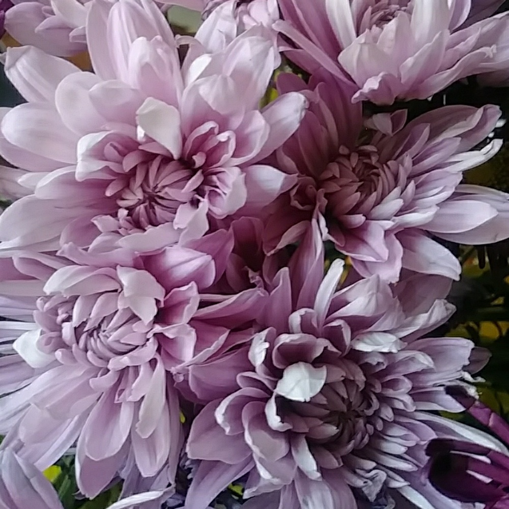 💜LOVE IT💜Make an Offer💜